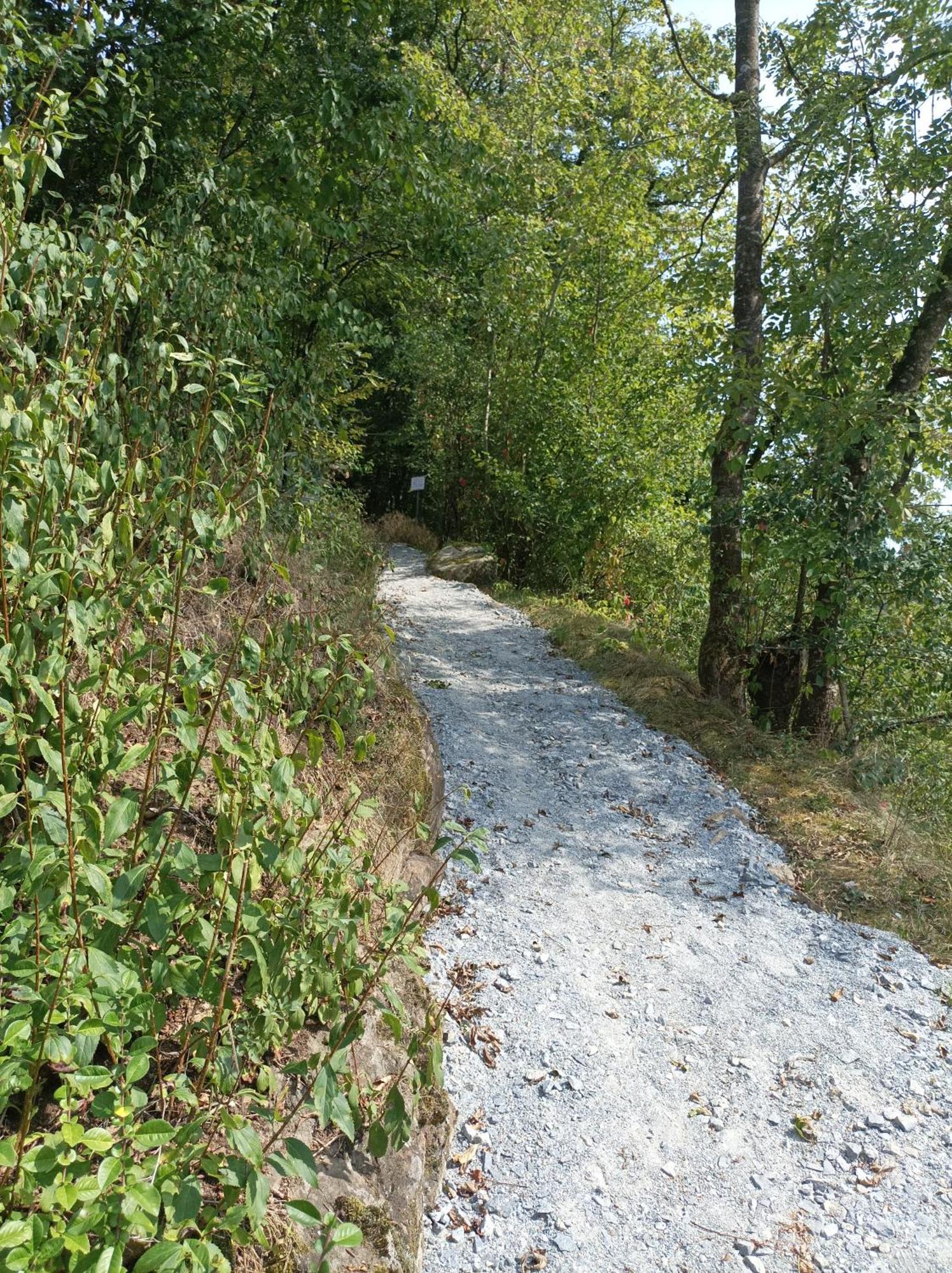 Iggensbach Burgberg Schoellnstein מראה חיצוני תמונה