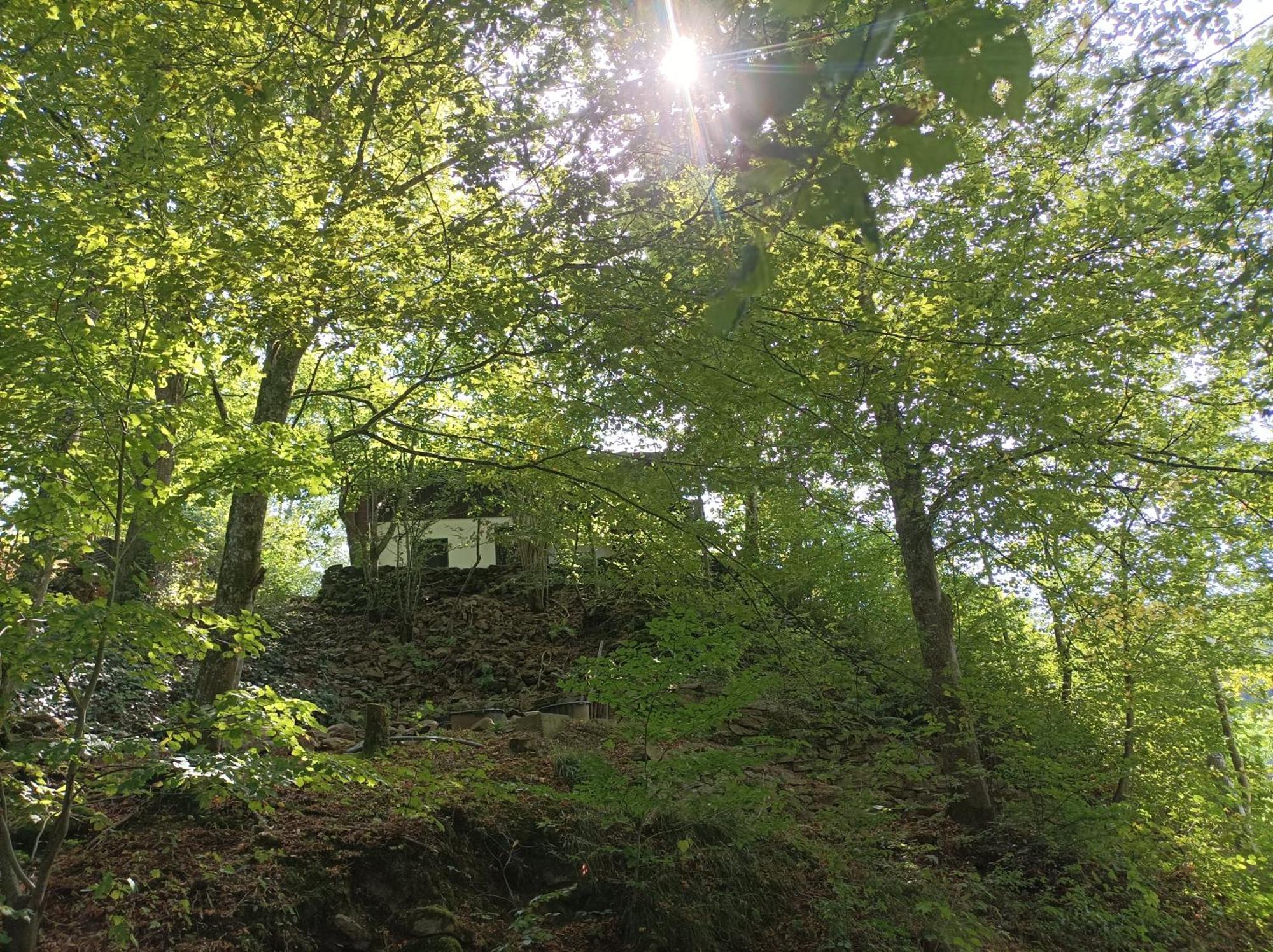 Iggensbach Burgberg Schoellnstein מראה חיצוני תמונה